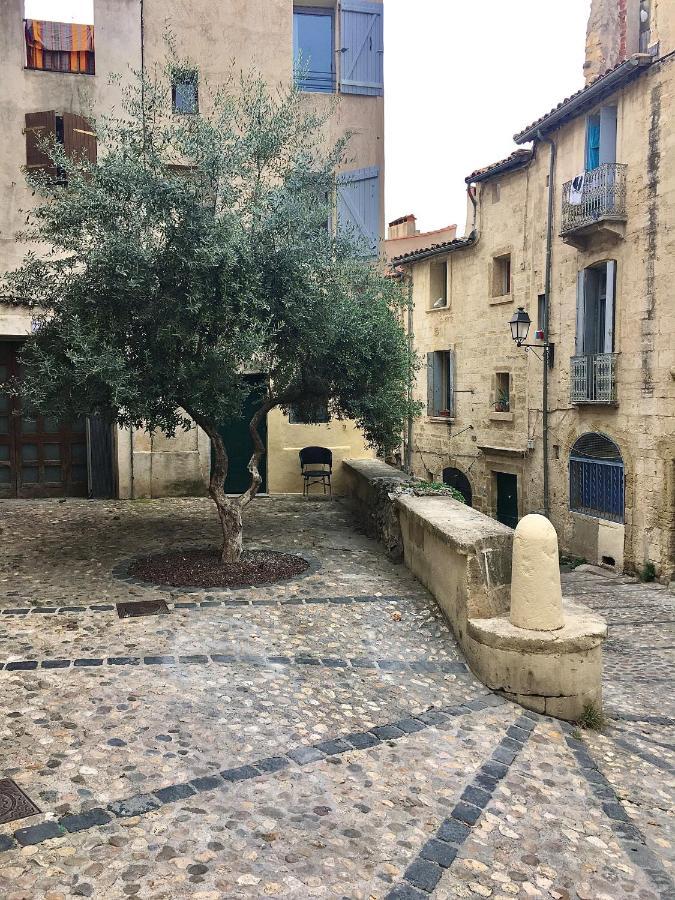 L'Olivier Loft Hh - Netflix & Prime - Centre Corum モンペリエ エクステリア 写真